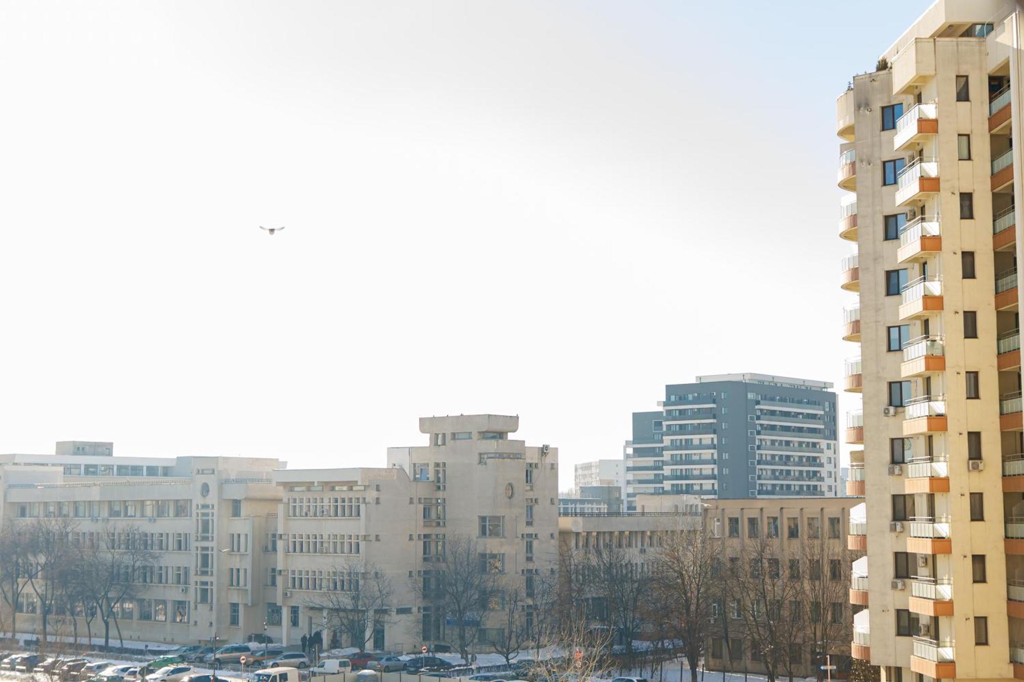 17 Zimbrului Residence At Lazar Towers Palas ヤシ エクステリア 写真